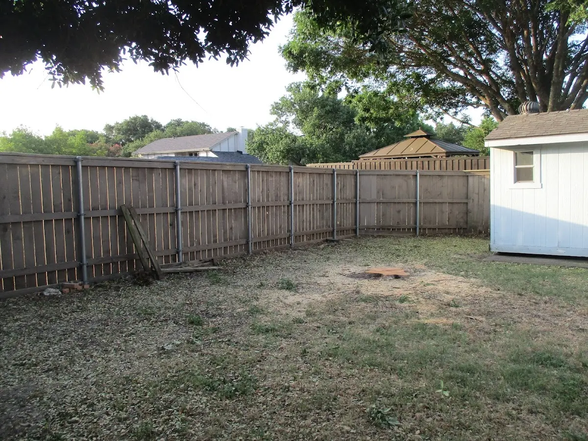Cleared yard after professional tree removal in East Texas