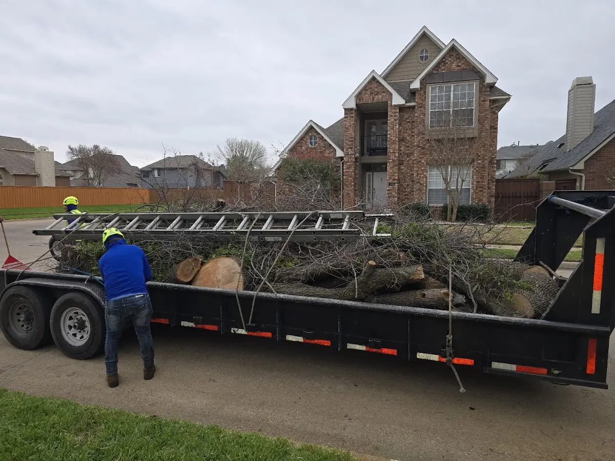 Expert Crown Reduction with proper safety equipment in East Texas